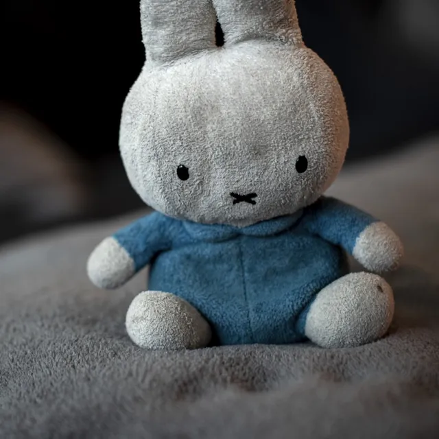 Peluş Tavşan